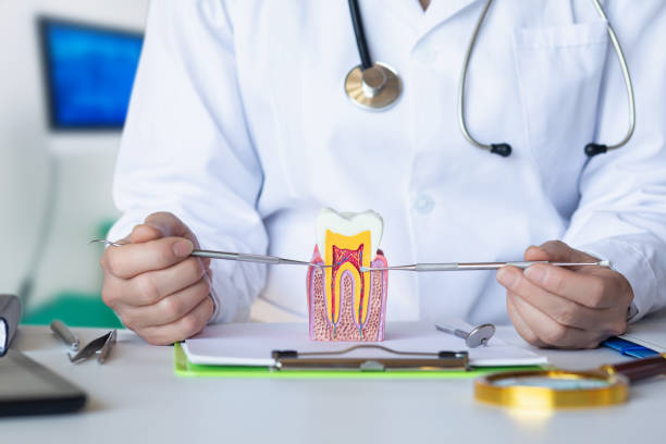 Best Urgent Tooth Repair  in Rowlett, TX